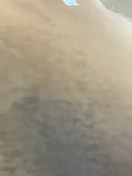 MerlinDave 라이브 XXX 채팅