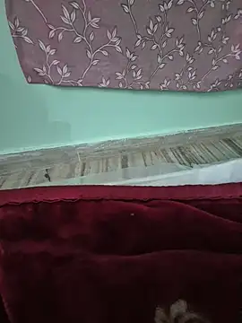 sweety_salini1 网络视讯表演