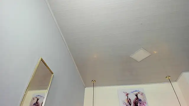 Chat XXX Live ayshel__