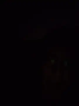 Daddy_40-0 Webcam-Show