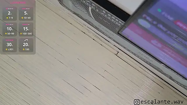 Thesaint_xxxのウェブカメラショー