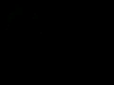 latinound Webcam Show