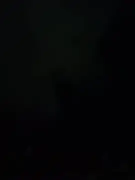 MisfiredSweats: διαδικτυακό σόου στην κάμερα