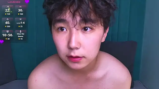 HeejinWang Webcamshow