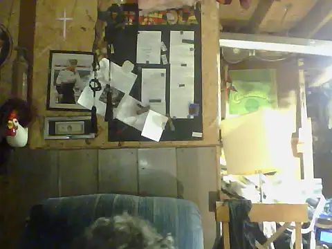 OldManOnline's Webcam Show