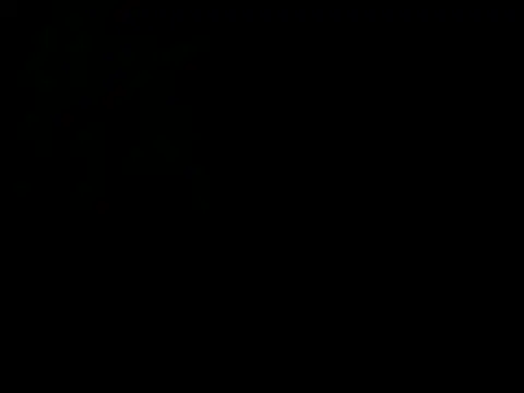 latinound's Webcam Show