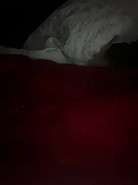 GusanoDelicioson Webbikameraesitys
