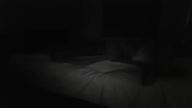 The_Real_aDDix269's Live XXX Chat