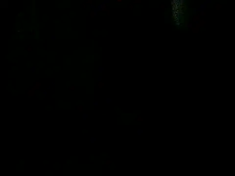 latinound Show Webcam