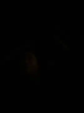 wagoudan 即時 XXX 聊天