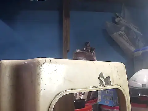 Precumking1 라이브 XXX 채팅