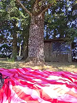 XXX chat uživo modela Luna_Lynn