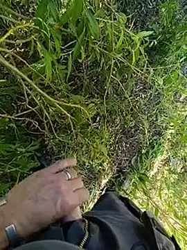 hamstercom3333 লাইভ XXX চ্যাট