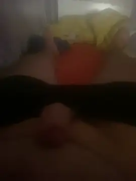 Annalfivern Webbikameraesitys