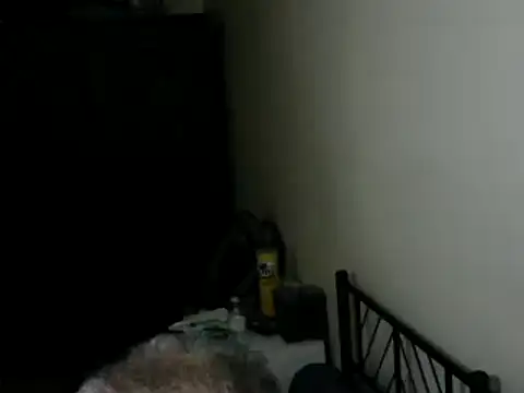 Show Webcam de 100Tauros