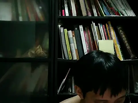 Lv8763 即時 XXX 聊天