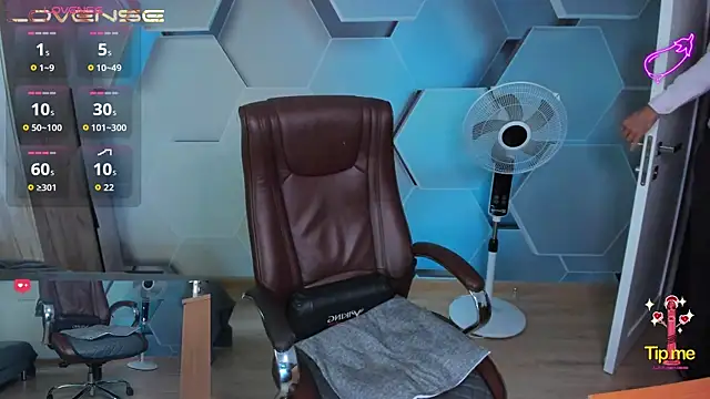 Show webcam de SteveTiger