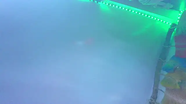 the_dog_lianのライブXXXチャット