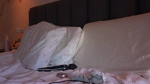 ibiddi Live XXX Chat