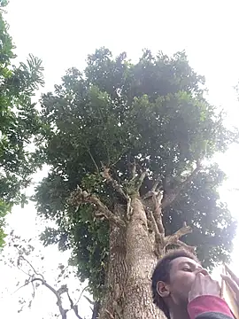 Samu_t7 웹캠 쇼