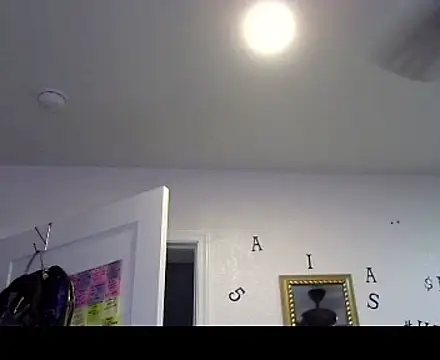 TheRealMrDLlong Chat XXX in diretta