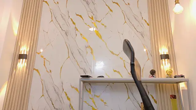 צ'אט XXX בשידור חי של Max_silver_