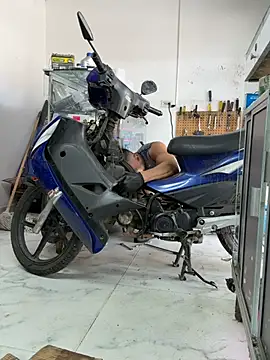Paul22cm- Pertunjukan Webcam