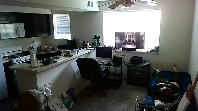 Q1357q Webcam-Show