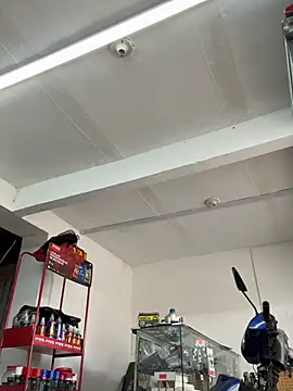 Czat XXX na żywo – Paul22cm-