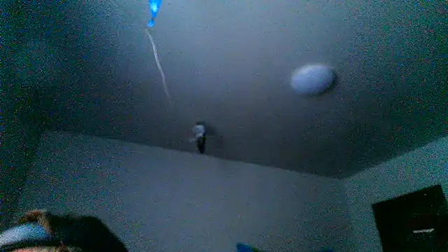 Show webcam de DenyingSanity