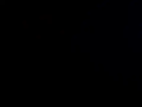 EllieTan live XXX chat