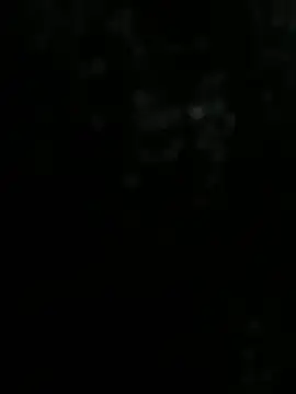 SLUTTY-DADDY élő XXX-chatje