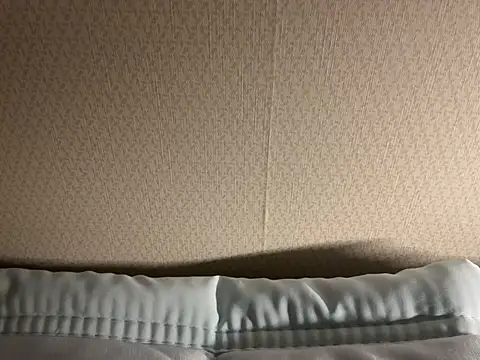 dvoi 网络视讯表演