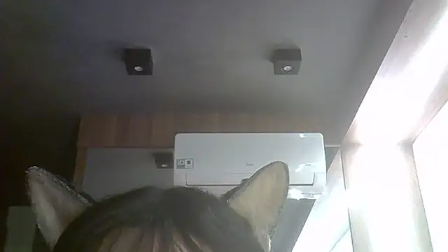 Show de webcam de SkinnyKitten