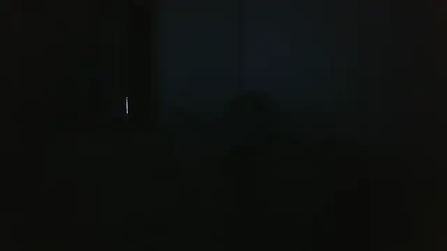 Show de webcam de vitalik66679