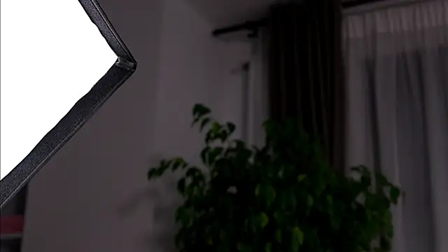 TheMaddisonShow_ Live XXX-Chat