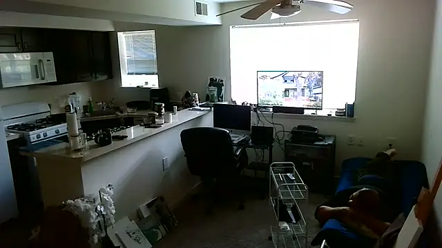 Show Webcam de Q1357q