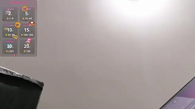 Leo_adammsn Webbikameraesitys