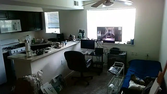 Show Webcam de Q1357q