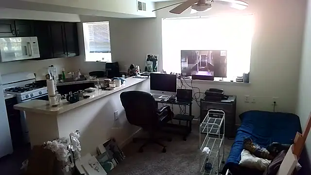Q1357q Webcam Show