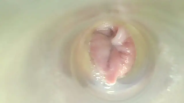 karol_stom লাইভ XXX চ্যাট