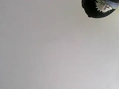Chat XXX Live thomas2wood