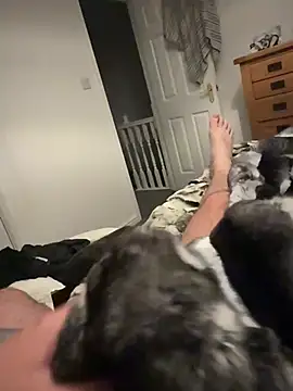 Furdalen Webbikameraesitys