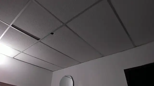 honeyhtx Chat XXX live