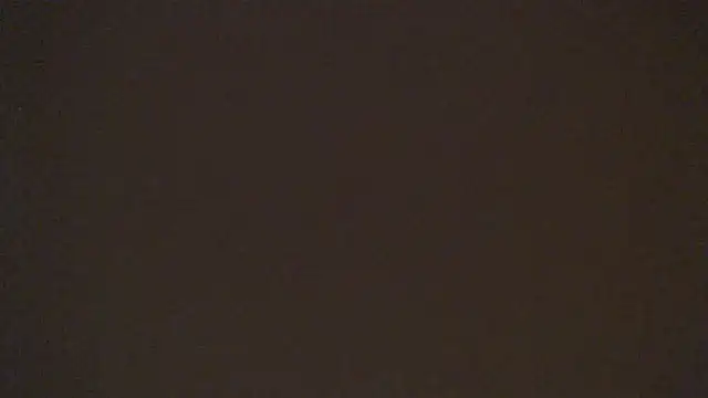 Chat +18 de Leylafourniert ao vivo