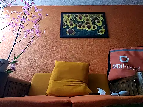 MexaCamGuy Webcam-Show