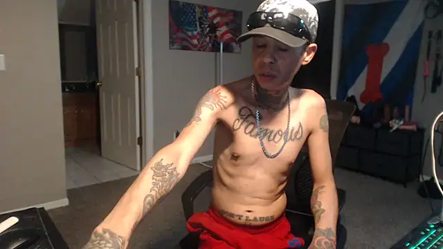 Michigan9000 Webcam-Show