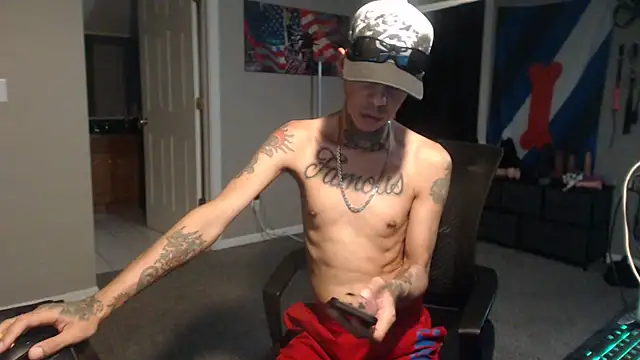 Show Webcam de Michigan9000