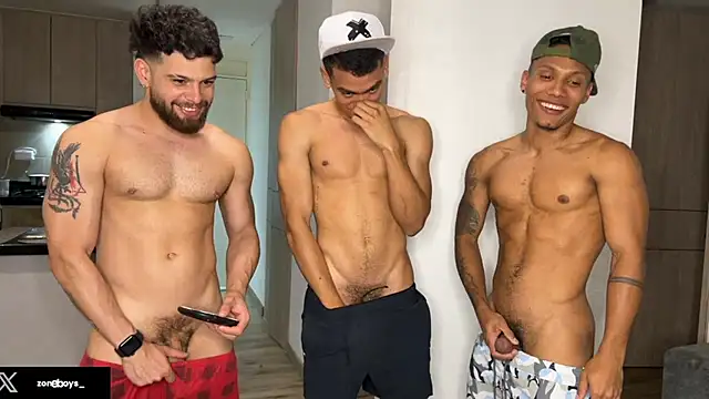 zoneboys: διαδικτυακό σόου στην κάμερα