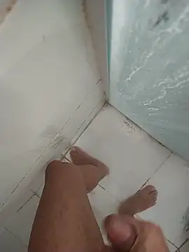 Pertunjukan Kamera Web leviarantes